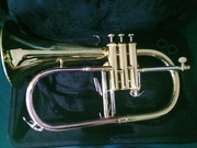 flugelhorn, trąbka i futerał