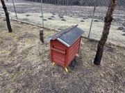 Sprzedam ule warszawskie z pszczołami – 800 zł/szt.