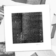 Autorska fotografia "Drzewo" - wydruk. 