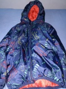 Kurtka dla chłopca w dinozaury