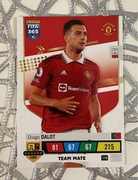 FIFA 365 (2023) | DALOT (119)
