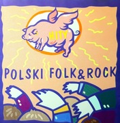 Polski Folk&Rock - Hity (CD, 2001)
