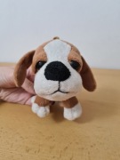 Pies maskotka pluszak piesek bernardyn