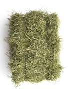 EKO NATURALNE SIANO sianko ŁĄKOWE ZIELONE DLA GRYZONI KRÓLIKA ŚWINKI XXL