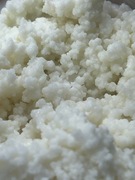 Grzybek tybetański 25g