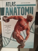  Książka Atlas anatomii Justyna Mazurek 