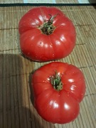 Nasiona pomidor Top Sirloin min. 5szt.