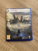 Dziedzictwo Hogwartu ps5