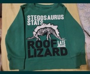  Jak nowa zielona bluza dla chłopca, bluzka chłopięca, dinozaury Dino 104