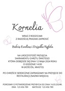 Zaproszenie na chrzest, motyw motylki