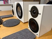 WiiM & DALI 2.1 - WiiM AMP - Dali Oberon 1 - Dali Sub E9-F - kable