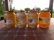 Naturalny miód pszczeli prosto z pasieki