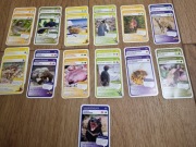 nr9 Karty Super Zwierzaki podwójne MEMO/PIOTRUŚ