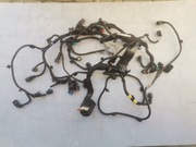 Peugeot Citroen 2,0 BLUEHDI wtyczki komputera