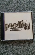 The Prodigy : Experience
