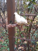 Wiszący, ceramiczny ptaszek na gałązce 