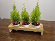 Stojak na doniczki z ziołami