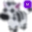 Zebra Adopt Me AM