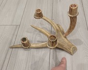 Świecznik z poroża jelenia