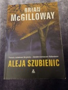 Aleja szubienic, Brian McGilloway