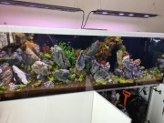 Akwarium 200x60x65 z lakierowaną szafką