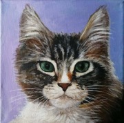 Obraz akrylowy Kot 20x20 cm