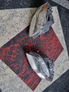 Lampy przód Audi A4 B7 