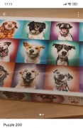 Funny dog porocham