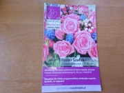 Katalog kwiatów roślin sadzonek Kwiatyllo.pl Jesień 2020 piękny ogród