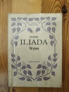 Iliada wybór, Homer