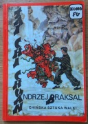 Braskal - Tai Chi Chuan; kung fu; chińska sztuka walki