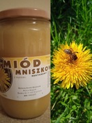 Miód mniszkowy 720 ml z własnej pasieki