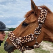Kantar polarowy dla konia GLAMOUR PANTERKA nowy PONY ekspresowa wysyłka