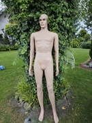 Manekin męski mężczyzna dorosły