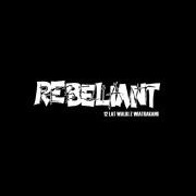REBELIANT 12 Lat Walki Z Wiatrakami 2LP Jaworzno 1989-2001 punk Dezerter