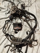 Instalacja gazowa stag 4 Qbox basic HONDA ACCORD VI 6  98-02 1,8