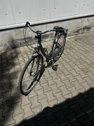 Rower damka kellys