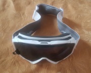 Gogle narciarskie Alpina Panoma S Magnetic OTG