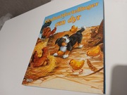 4 KSIĄŻKI WJĘZYKU NORWESKIM W TYM JEDNA DLA DZIECI