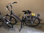 Rowery Gazelle Eclipse parka 2 szt