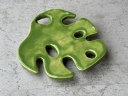 Mydelniczka monstera