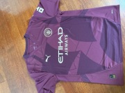 Koszulka Manchester City 24/25 L
