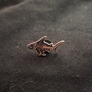 pin przypinka broszka - SZKIELET REKINA. REKIN KOŚCIOTRUP