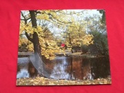 JACEK LECH pocztówka dźwiękowa R-0637 jak NOWA