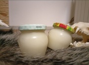 Sadło z borsuka , smalec z borsuka 