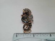 Magnes na lodówkę  -  73f. HURGHADA Konik Morski EGIPT