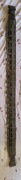 Pas Molle Hyp Belt olive TASMANIAN TIGER Olive XL