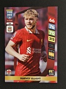 PANINI FIFA 365 2025 HARVEY ELLIOTT nr.54