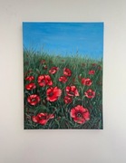 Obraz ręcznie malowany akryl na płótnie maki polskie nowy 30/40 cm