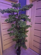 Bonsai drzewo sztuczne 180 cm Eurofirany 